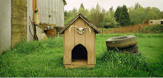 15年经典《异形大战铁血战士》突然爆火 朋友支援活动助力